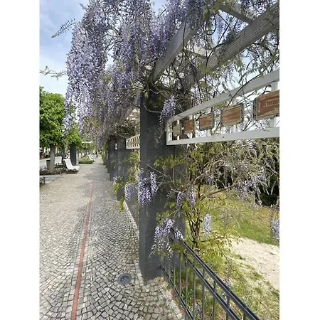 Cosy In Near Seabeach Appartamento Binz